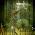 La conférence des oiseaux