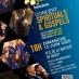 Concert Gospel et Spiritual The Voice of Freedom
