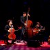 Loco Cello