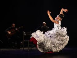 Evènement RECONDITO (flamenco) le 10/10/2025 à 20:00 - Lieu :  Théâtre Le Sémaphore 13110 Port-de-Bouc