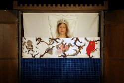 Evènement AU BOIS DORMANT le 11/02/2026 à 15:30 - Lieu :  Centre culturel Jean Vilar 78160 Marly-le-roi