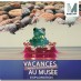 Une aventure géologique pour tous.tes au Musée d’Apt