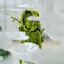 A Dream Woven in Moss and Mist
