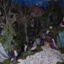 Visite de la crèche historique de Dauphin