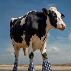 Evènement Soirée Film IA le 09/05/2026 - Lieu :  Théâtre Grrranit Scène nationale 90000 Belfort