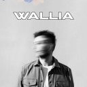 FOLLIES ON THE ROCK(S)