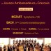 Orchestre Symphonique des Jeunes Ambassadeurs de Cracovie
