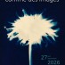 Comme des images -Premier festival de photographie de Provins