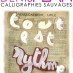 Calligraphies Sauvages