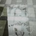 AMMA