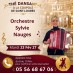 ORCHESTRE SYLVIE NAUGES