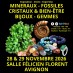 Salon Minéraux Fossiles Cristaux & Bien-Être Gemmes et Bijoux d’Avignon + L’Expo Préhistoric