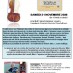 Conférence sur le violon à travers les âges