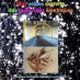 Annonce Mes veines comme des guirlandes électriques, monologue féminin - Vente / Livre / BD / Revue - 94370