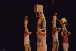 Annonce Sensibilisation aux arts du cirque parent-enfant 3-5 ans - 49124 Saint Barthélémy d’Anjou - Stages - Art du cirque - 
