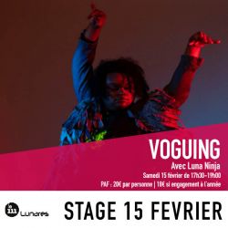 Annonce Stage de Voguing avec Luna Ninja à Lunares - 31200 Toulouse - Stages - Danse - 