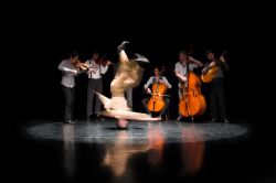 Annonce Nuit baroque - 69500 Bron - Vente - Spectacle (diffuseurs, organisateurs...) - 
