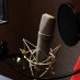 Annonce Voix off : Stage Voix en Studio Professionnel (Septembre 2025) - Stages / Audiovisuel - 92600