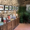 Galerie  David Balade