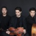 TRIO ARNOLD : la quintessence du trio à cordes